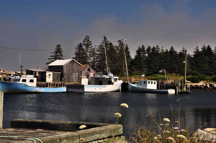 harbor